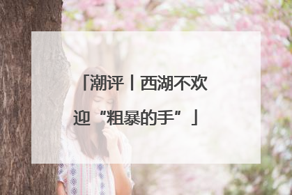 潮评丨西湖不欢迎“粗暴的手”