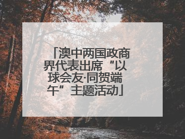 澳中两国政商界代表出席“以球会友·同贺端午”主题活动