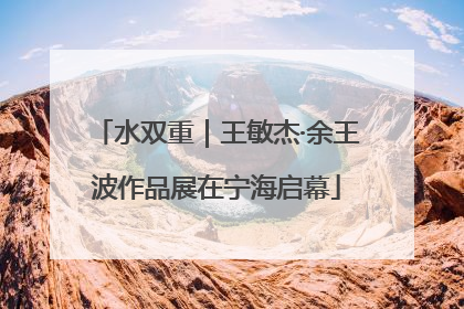 水双重｜王敏杰·余王波作品展在宁海启幕