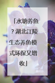 水塘养鱼？湖北江陵生态养鱼模式环保又增收