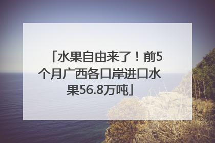 水果自由来了！前5个月广西各口岸进口水果56.8万吨