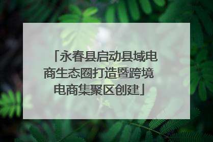 永春县启动县域电商生态圈打造暨跨境电商集聚区创建