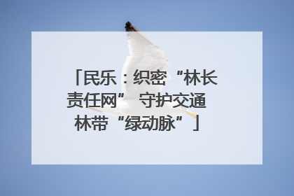 民乐：织密“林长责任网” 守护交通林带“绿动脉”