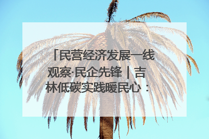 民营经济发展一线观察·民企先锋｜吉林低碳实践暖民心：太阳能供暖技术为北方清洁取暖破局