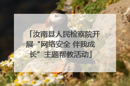 汝南县人民检察院开展“网络安全 伴我成长”主题帮教活动