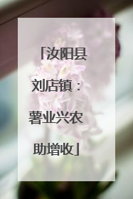 汝阳县刘店镇：薯业兴农助增收