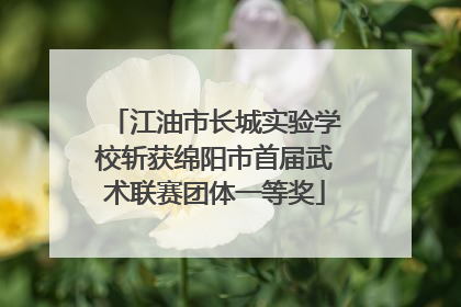 江油市长城实验学校斩获绵阳市首届武术联赛团体一等奖