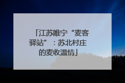 江苏睢宁“麦客驿站”：苏北村庄的麦收温情