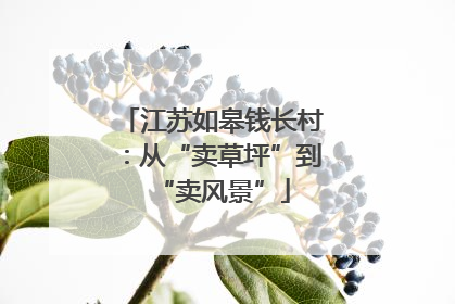 江苏如皋钱长村：从“卖草坪”到“卖风景”