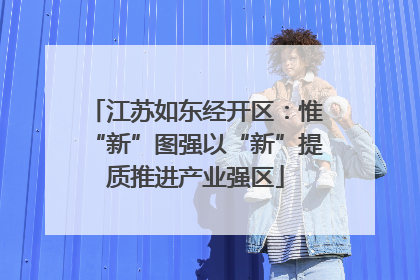 江苏如东经开区：惟“新”图强以“新”提质推进产业强区