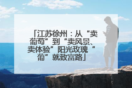 江苏徐州：从“卖葡萄”到“卖风景、卖体验”阳光玫瑰“葡”就致富路