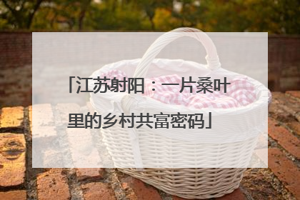江苏射阳：一片桑叶里的乡村共富密码
