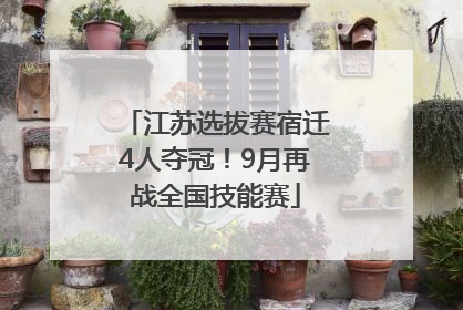 江苏选拔赛宿迁4人夺冠！9月再战全国技能赛