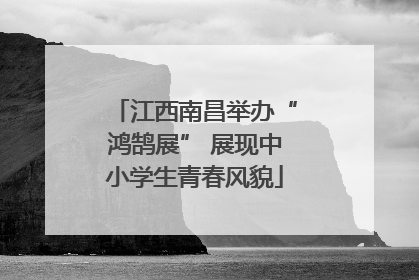 江西南昌举办“鸿鹄展” 展现中小学生青春风貌