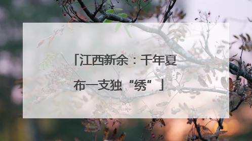 江西新余：千年夏布一支独“绣”