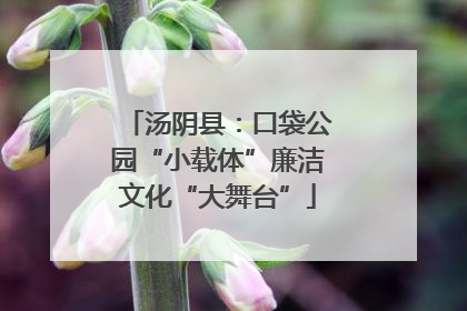 汤阴县：口袋公园“小载体”廉洁文化“大舞台”