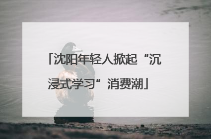 沈阳年轻人掀起“沉浸式学习”消费潮