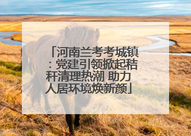 河南兰考考城镇：党建引领掀起秸秆清理热潮 助力人居环境焕新颜