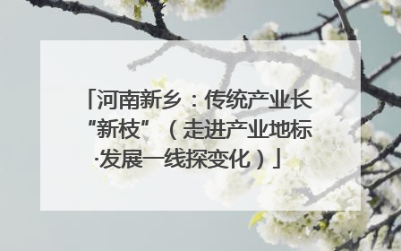 河南新乡：传统产业长“新枝”（走进产业地标·发展一线探变化）
