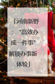 河南新野：“高效办成一件事”解锁办事新体验