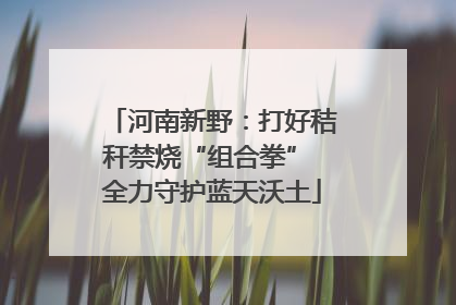 河南新野：打好秸秆禁烧“组合拳” 全力守护蓝天沃土