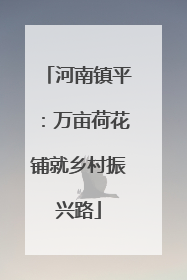 河南镇平：万亩荷花铺就乡村振兴路