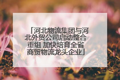 河北物流集团与河北外贸公司启动整合重组 加快培育全省商贸物流龙头企业