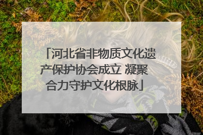 河北省非物质文化遗产保护协会成立 凝聚合力守护文化根脉