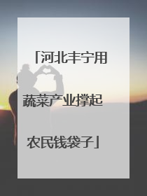 河北丰宁用蔬菜产业撑起农民钱袋子