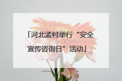 河北孟村举行“安全宣传咨询日”活动