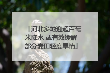 河北多地迎超百毫米降水 或有效缓解部分麦田轻度旱情