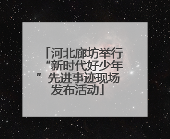 河北廊坊举行“新时代好少年”先进事迹现场发布活动