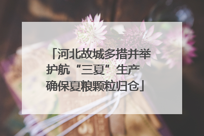 河北故城多措并举护航“三夏”生产 确保夏粮颗粒归仓