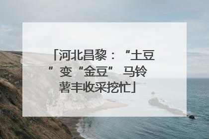 河北昌黎：“土豆”变“金豆” 马铃薯丰收采挖忙
