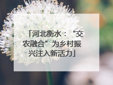 河北衡水：“交农融合”为乡村振兴注入新活力