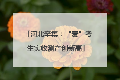 河北辛集：“麦”考生实收测产创新高