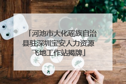 河池市大化瑶族自治县驻深圳宝安人力资源飞地工作站揭牌