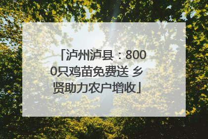 泸州泸县：8000只鸡苗免费送 乡贤助力农户增收