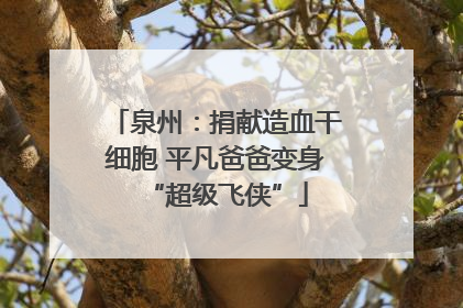 泉州：捐献造血干细胞 平凡爸爸变身“超级飞侠”