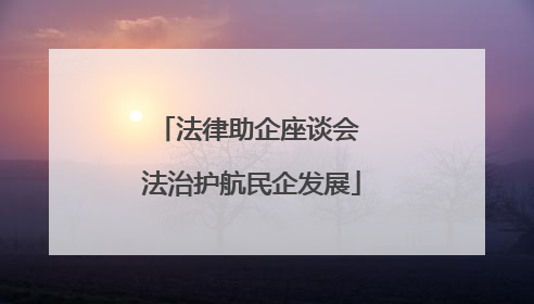 法律助企座谈会 法治护航民企发展