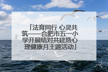 法育同行 心灵共筑——合肥市五一小学开展结对共建暨心理健康月主题活动