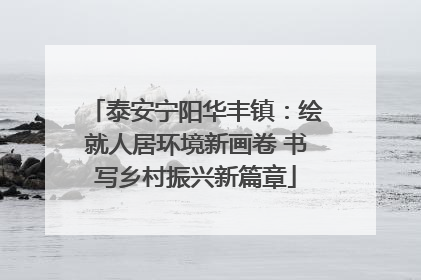 泰安宁阳华丰镇：绘就人居环境新画卷 书写乡村振兴新篇章