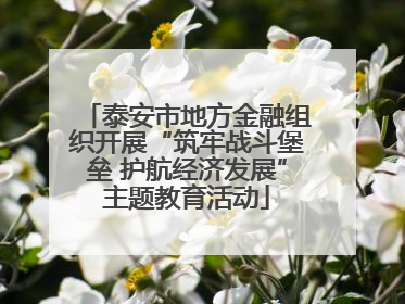 泰安市地方金融组织开展“筑牢战斗堡垒 护航经济发展”主题教育活动