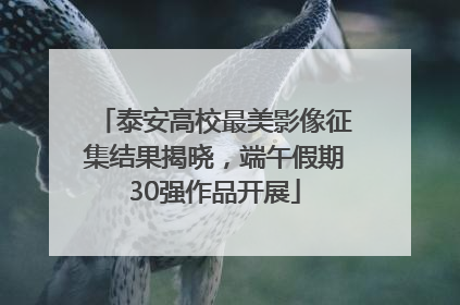 泰安高校最美影像征集结果揭晓，端午假期30强作品开展