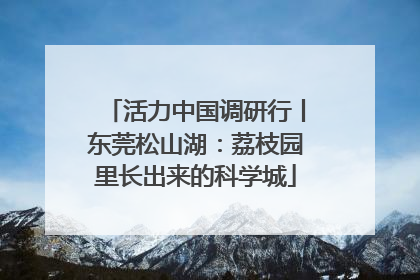 活力中国调研行丨东莞松山湖：荔枝园里长出来的科学城