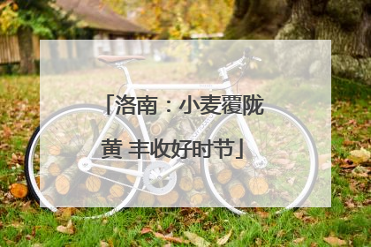 洛南：小麦覆陇黄 丰收好时节
