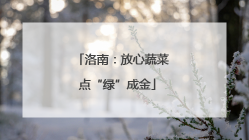 洛南：放心蔬菜点“绿”成金
