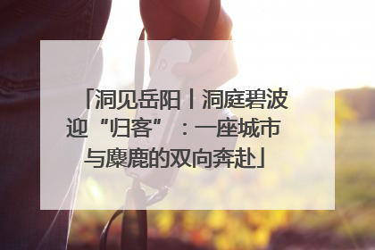 洞见岳阳丨洞庭碧波迎“归客”：一座城市与麋鹿的双向奔赴