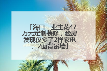 海口一业主花47万元定制装修，验房发现仅多了2样家电、2面背景墙