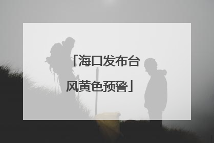 海口发布台风黄色预警